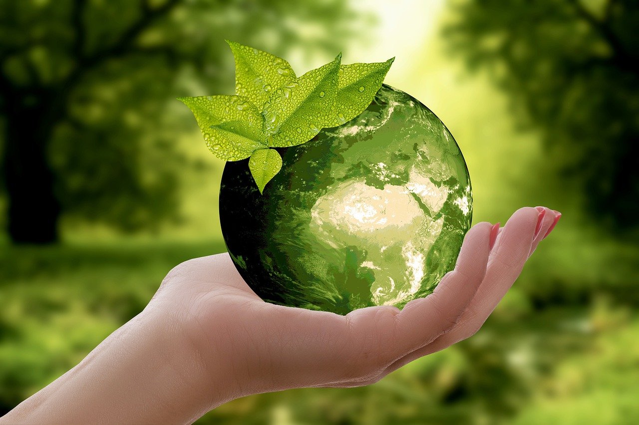 World Environment Day