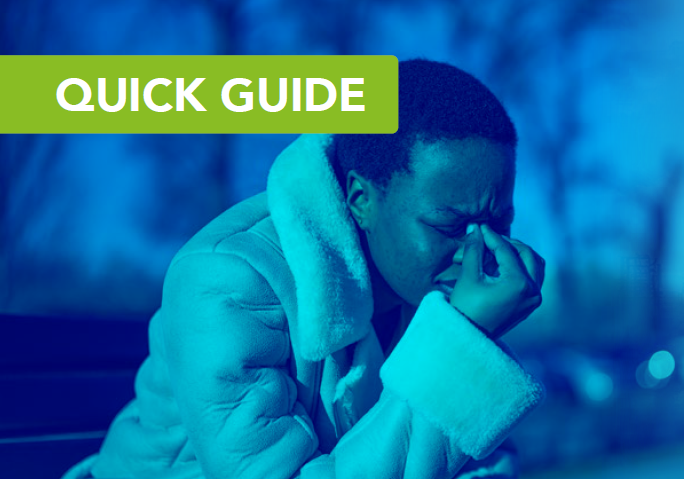 Quick Guide