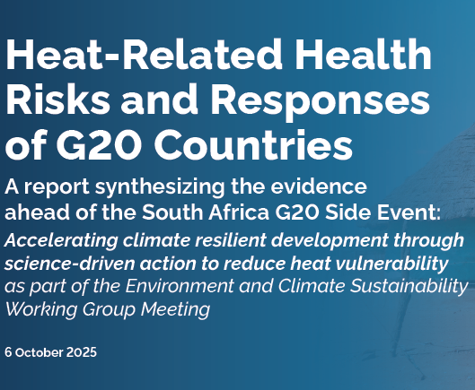 G20 report