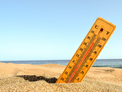 Heat Related