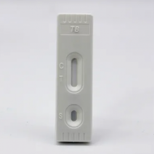 Rapid TB test