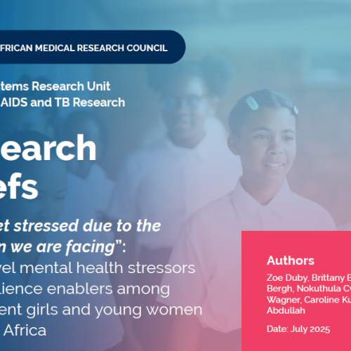 Research Brief