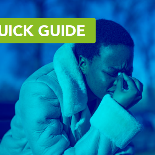 Quick Guide