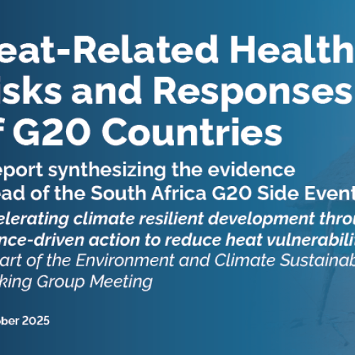G20 report