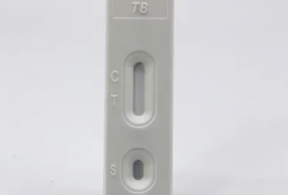 Rapid TB test