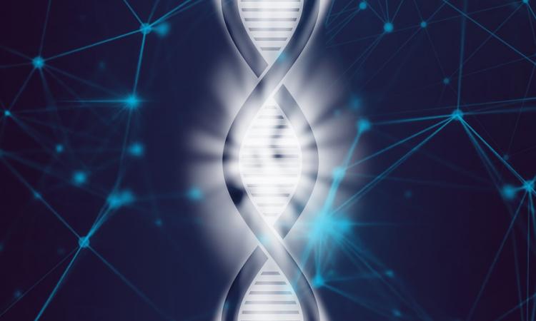 south african medical research council