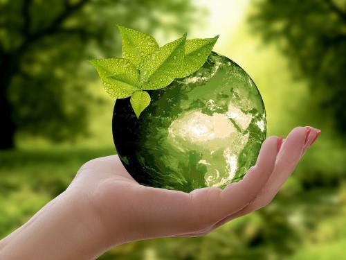 World Environment Day