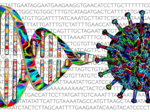 COVID genetics