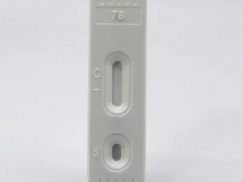 Rapid TB test