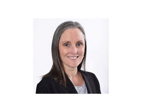  Professor Caradee Yael Wright