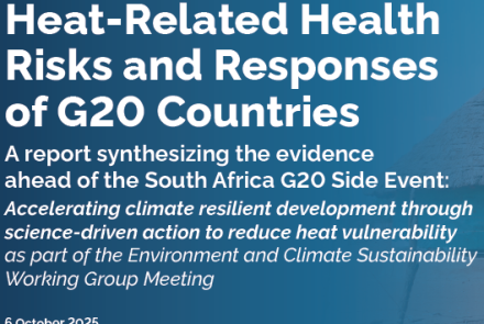 G20 report
